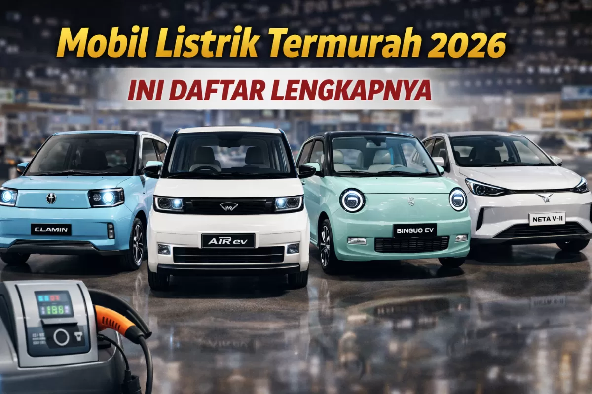 Paling Ramah Kantong