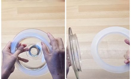 Solusi Mudah Atasi Karet Tutup Toples Yang Bau Dan Berminyak