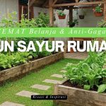 Inspirasi Kebun Pot Cantik Untuk Halaman Yang Lahan Sempit