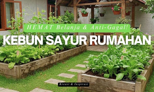 Inspirasi Kebun Pot Cantik Untuk Halaman Yang Lahan Sempit