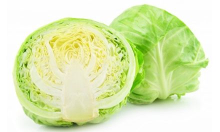Cara Membersihkan Kol Dengan Benar Sebelum Di Masak