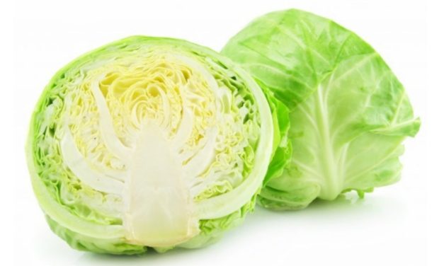 Cara Membersihkan Kol Dengan Benar Sebelum Di Masak