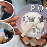 Cara Membuat Pupuk Kompos Dari Cangkang Telur Bekas