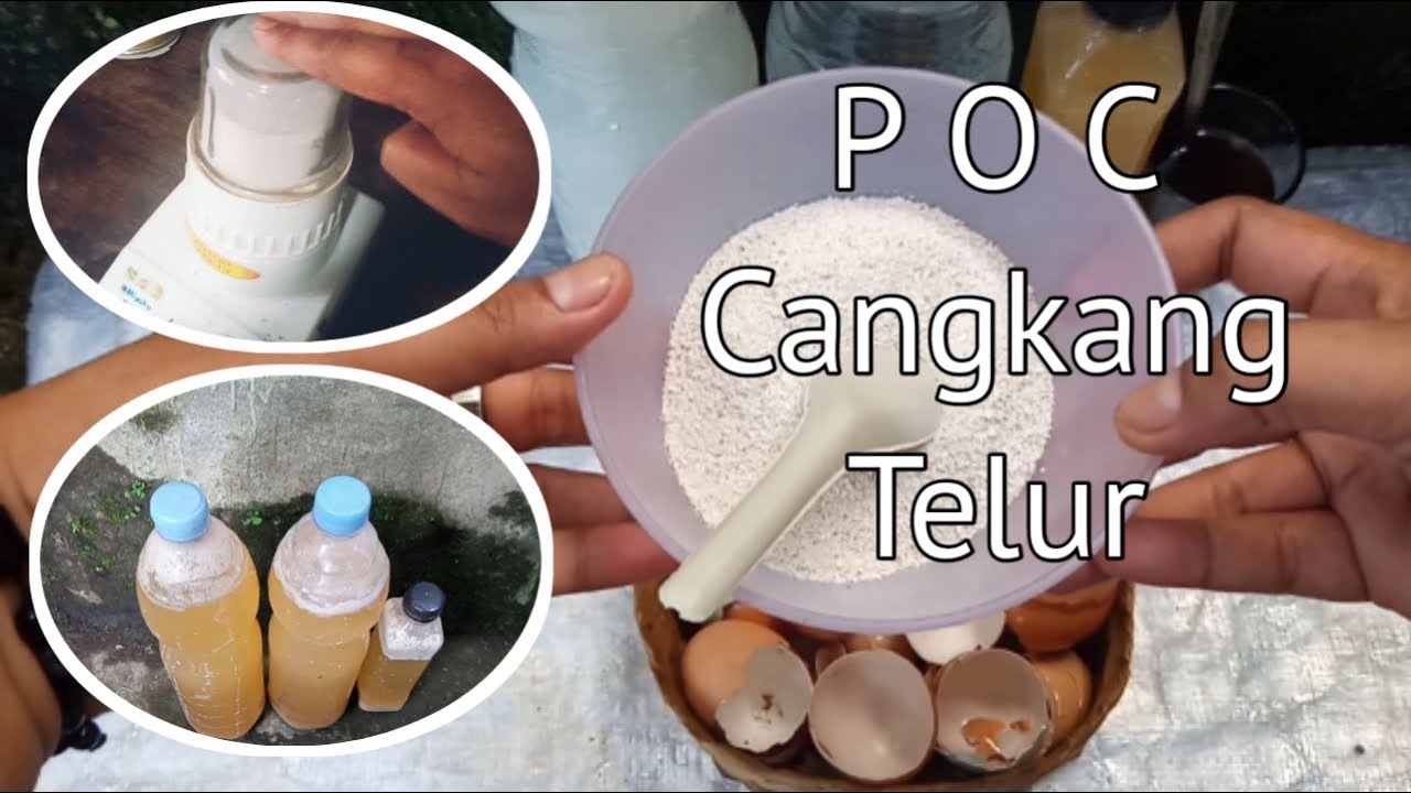 Cara Membuat Pupuk Kompos