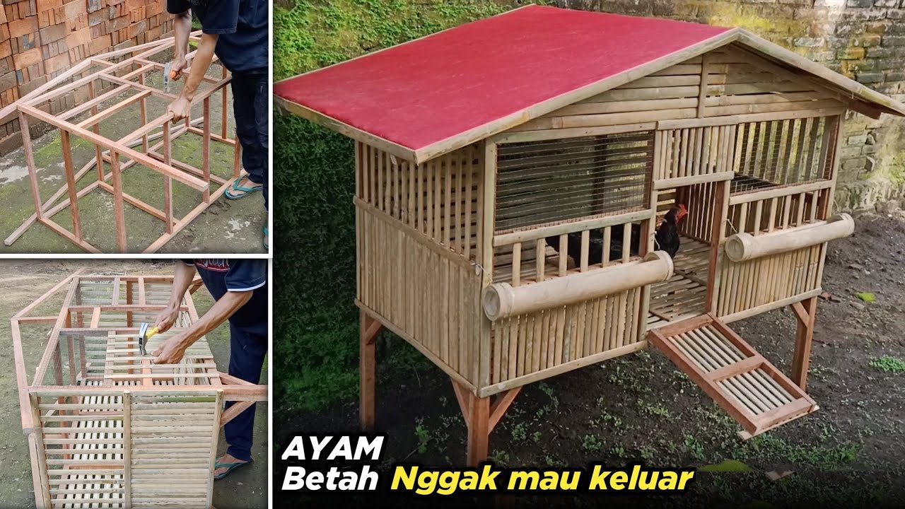 Kandang Ayam Ventilasi
