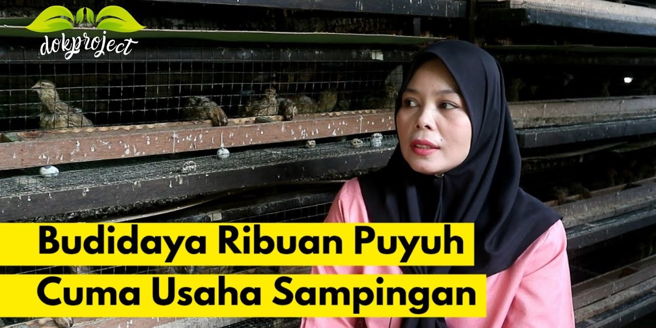 Ternak Puyuh Untuk Pemula: Ide Usaha Bagi Ibu-Ibu Di Desa