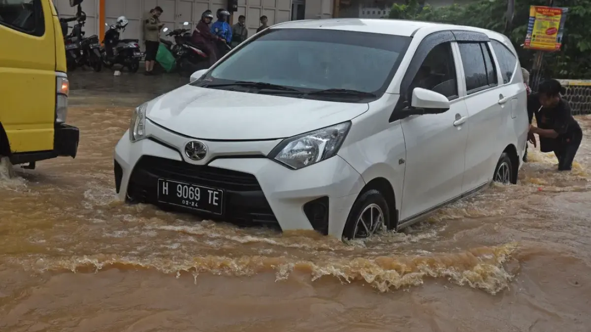 Wajib Tahu