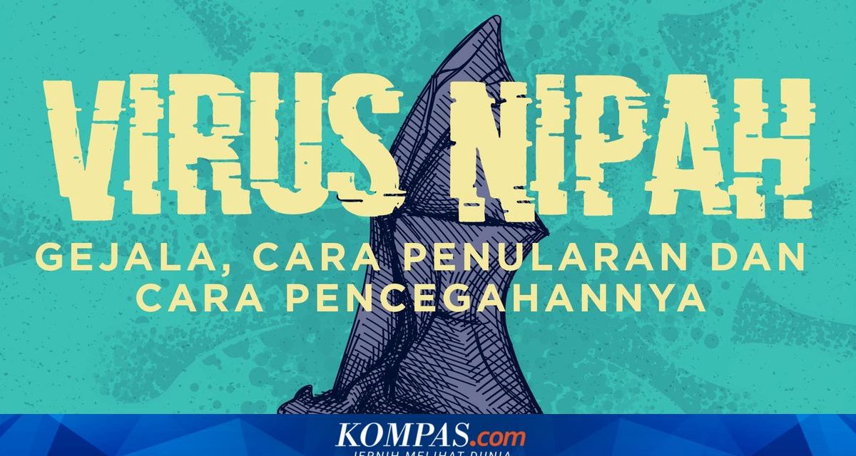 Fakta Baru: Virus Nipah Menular Melalui Saluran Pernapasan