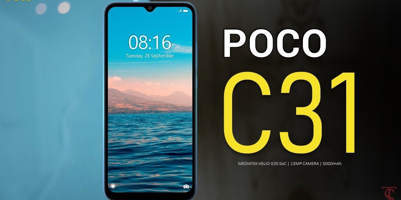 Review Xiaomi Poco C31: HP Murah Cukup Untuk Harian Kamu