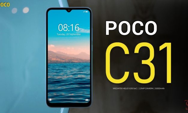Review Xiaomi Poco C31: HP Murah Cukup Untuk Harian Kamu