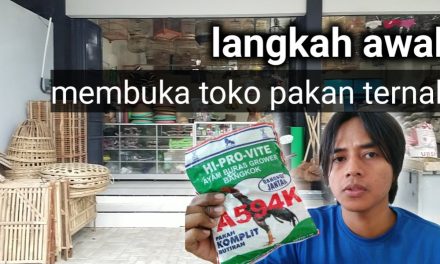 Ide Bisnis Pakan Ternak Dengan Modal Terjangkau