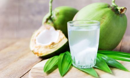 Air Kelapa Menjadi Pilihan Tepat Untuk Kamu Konsumsi Tiap Hari