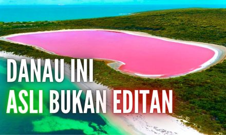 Fakta Unik Danau Hillier, Misteri Danau Merah Muda Di Australia